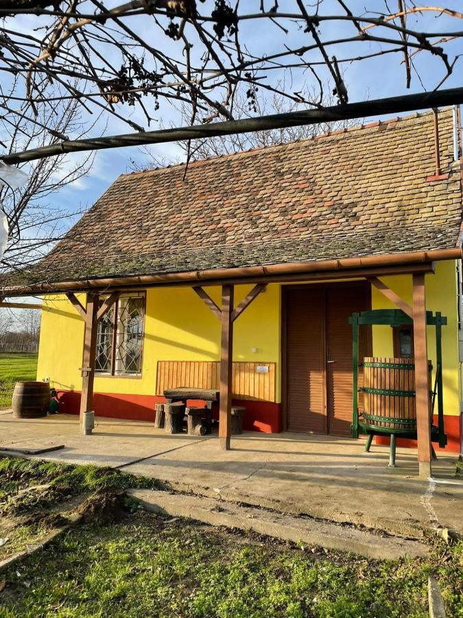 Het Hongaarse Wijnhuis Mohács Esterno foto