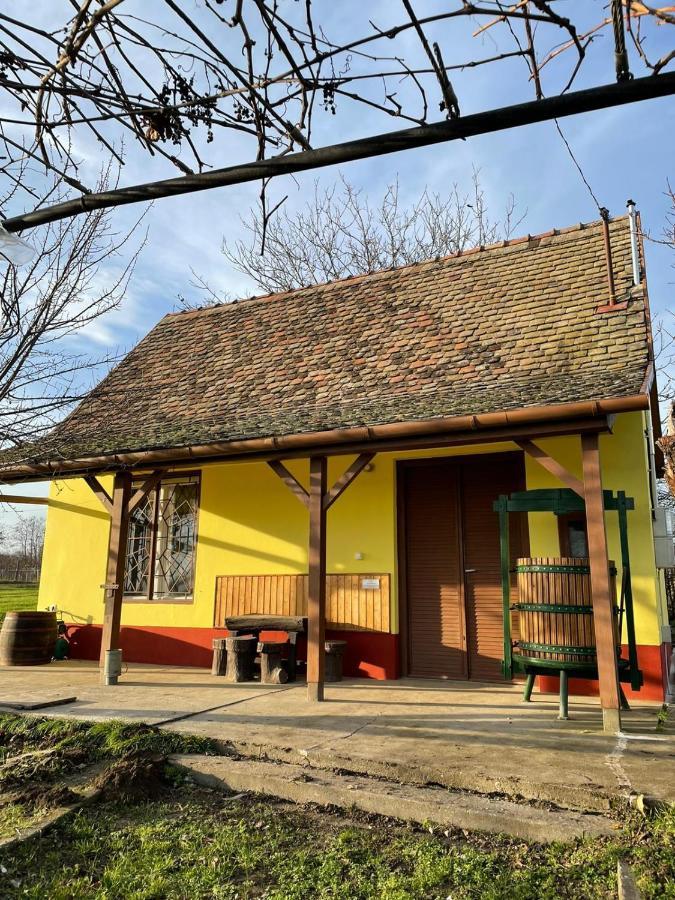 Het Hongaarse Wijnhuis Mohács Esterno foto